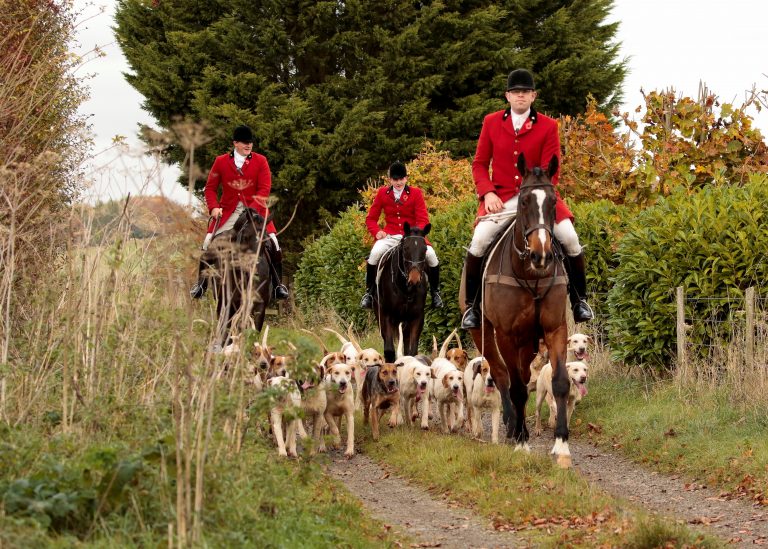 About Us The Vine And Craven Hunt